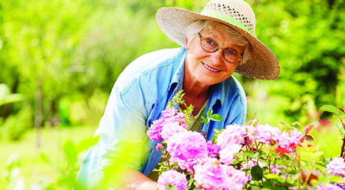 Senior woman with flowers in garden - photo from Seniors' Directory Senior woman with flowers in garden - photo from Seniors' Directory